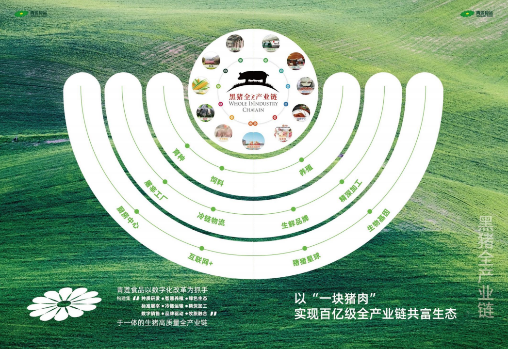 1742797292130388.png 52f044cb7ecda0a553799318fc4e2e2f.png